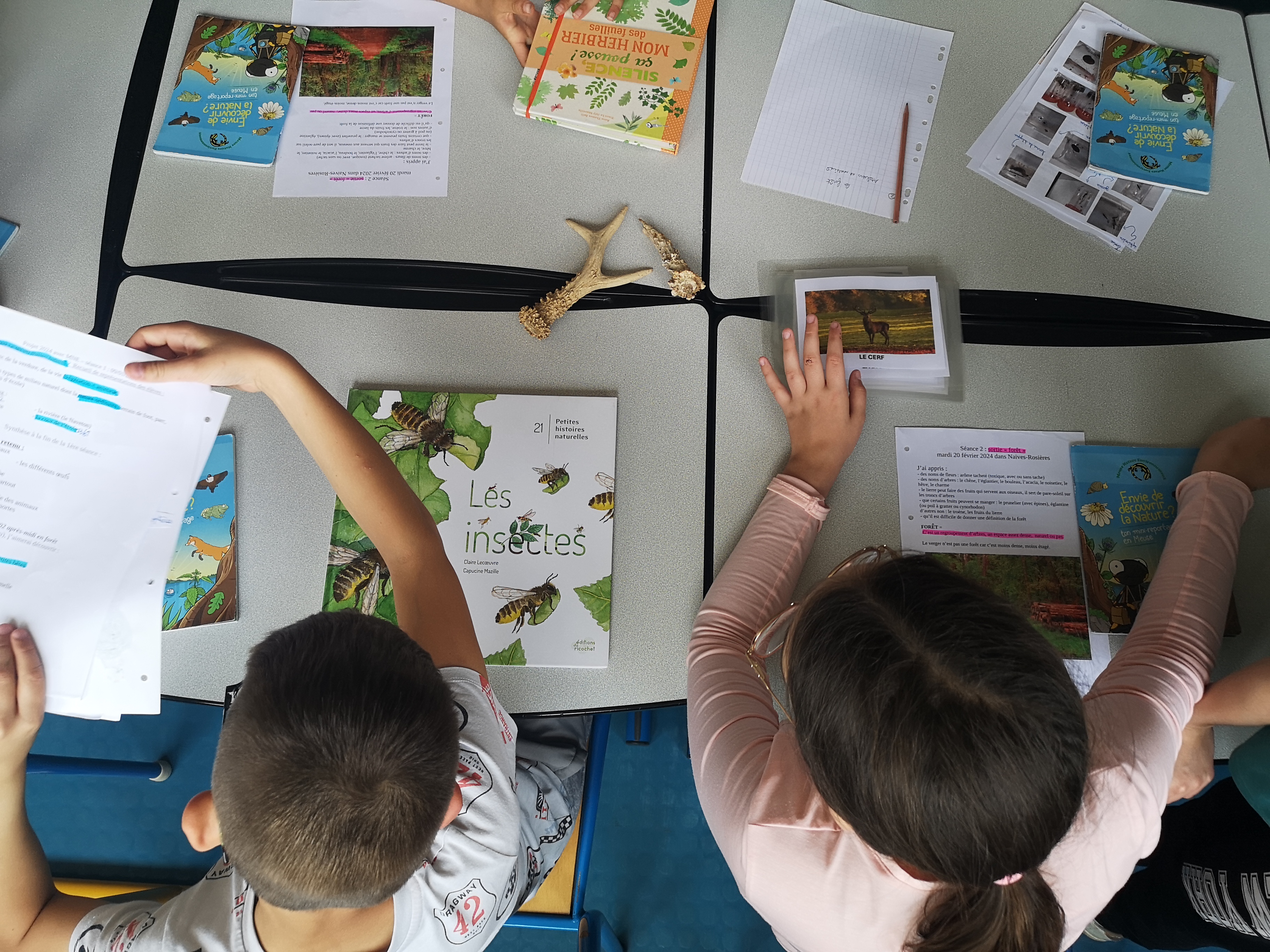 IMG_20240604_140626.jpg (3.37 MB)