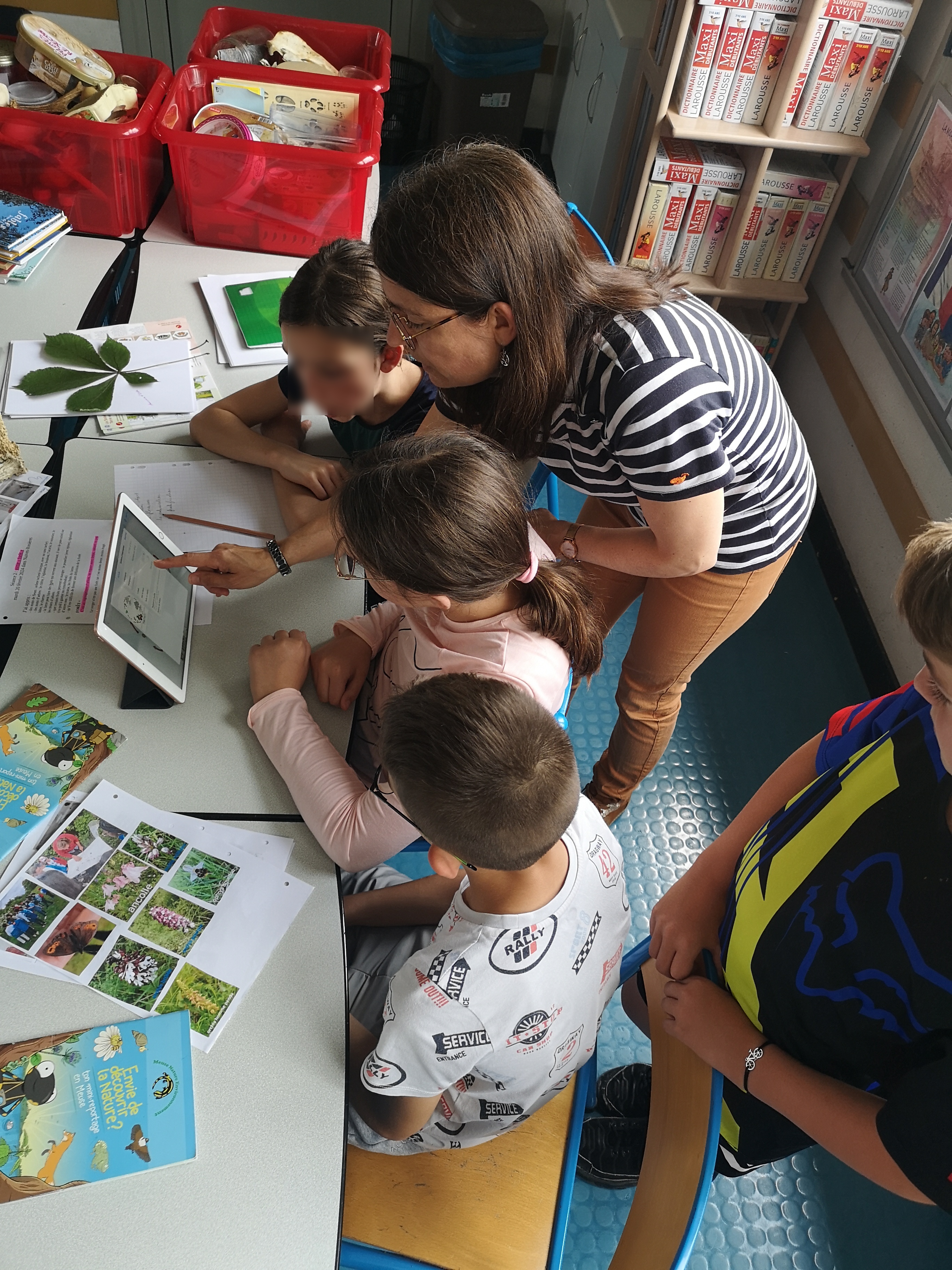 IMG_20240604_144526.jpg (3.69 MB)