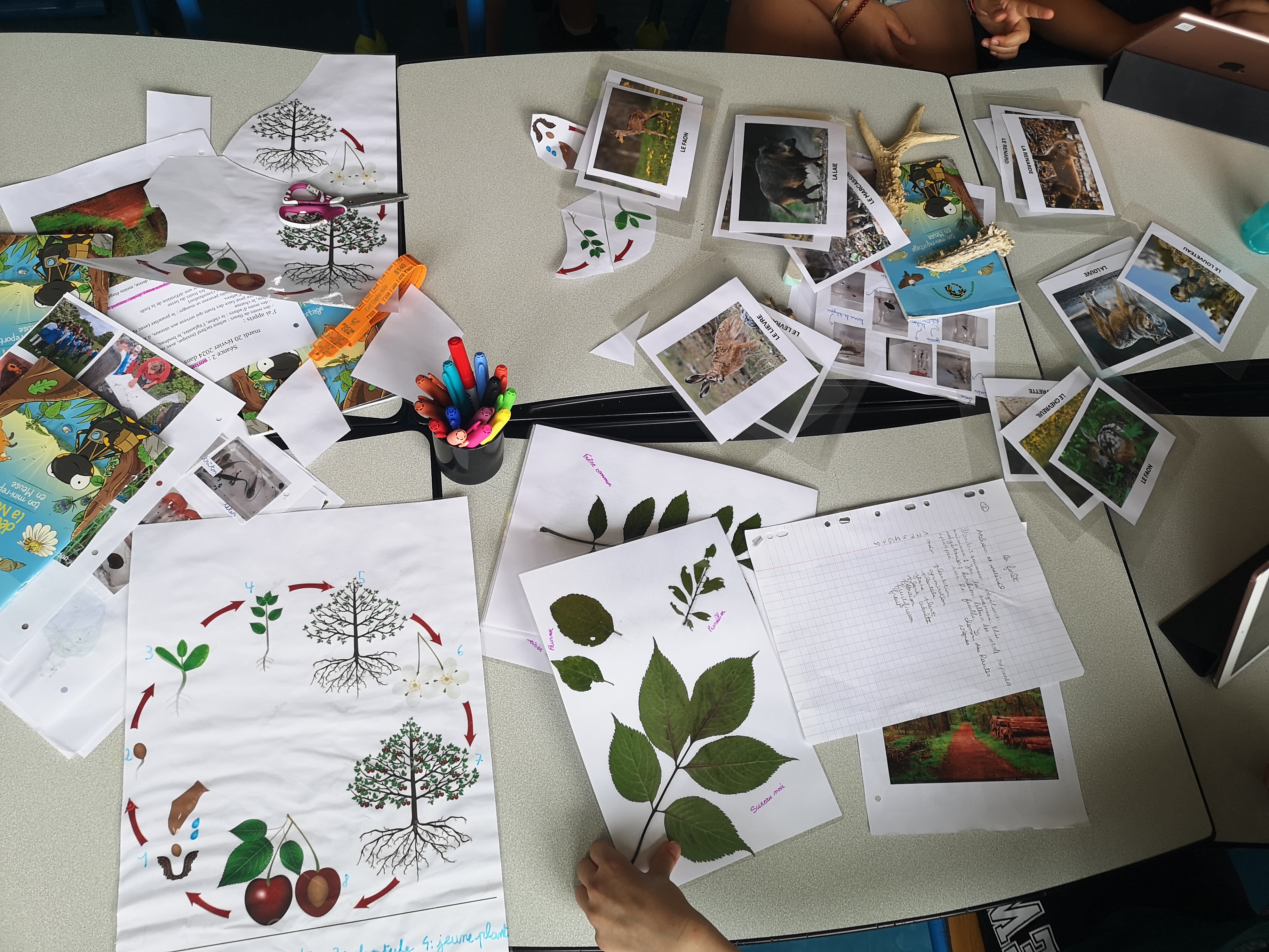 IMG_20240604_151329.jpg (3.41 MB)