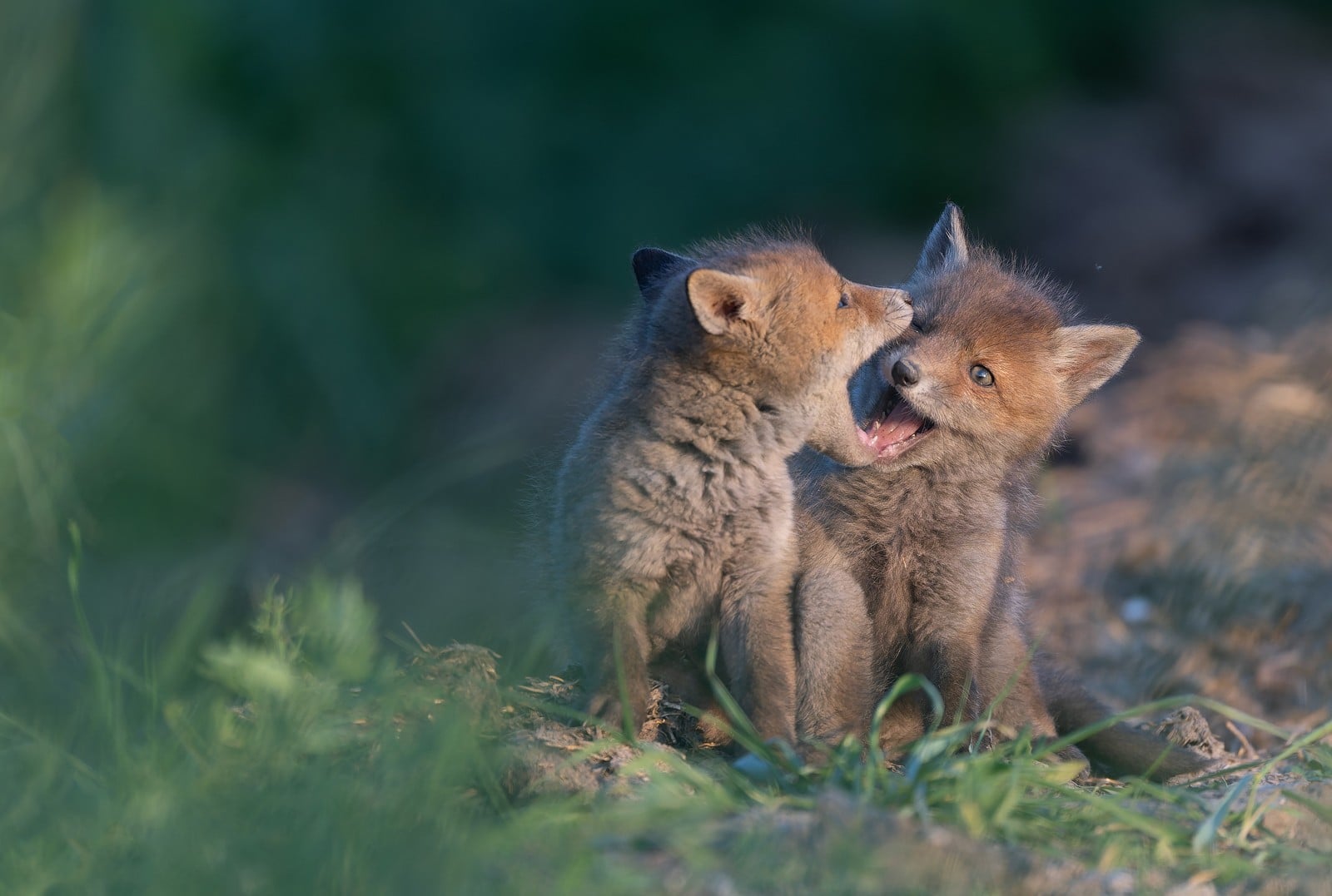 1b45f71d-abad-42e0-b797-55cc3024bb00.jpg (147 KB)