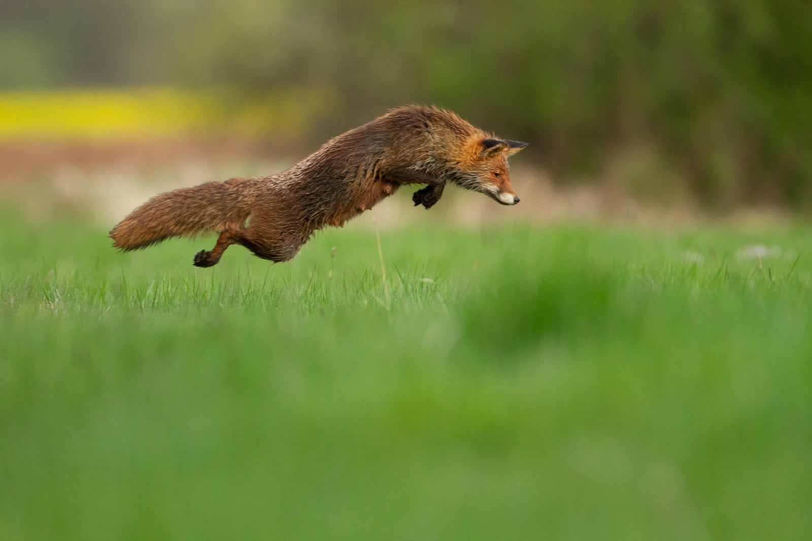 8869c9f8-b7a0-4849-8bd4-60631c45764e.jpg (115 KB)