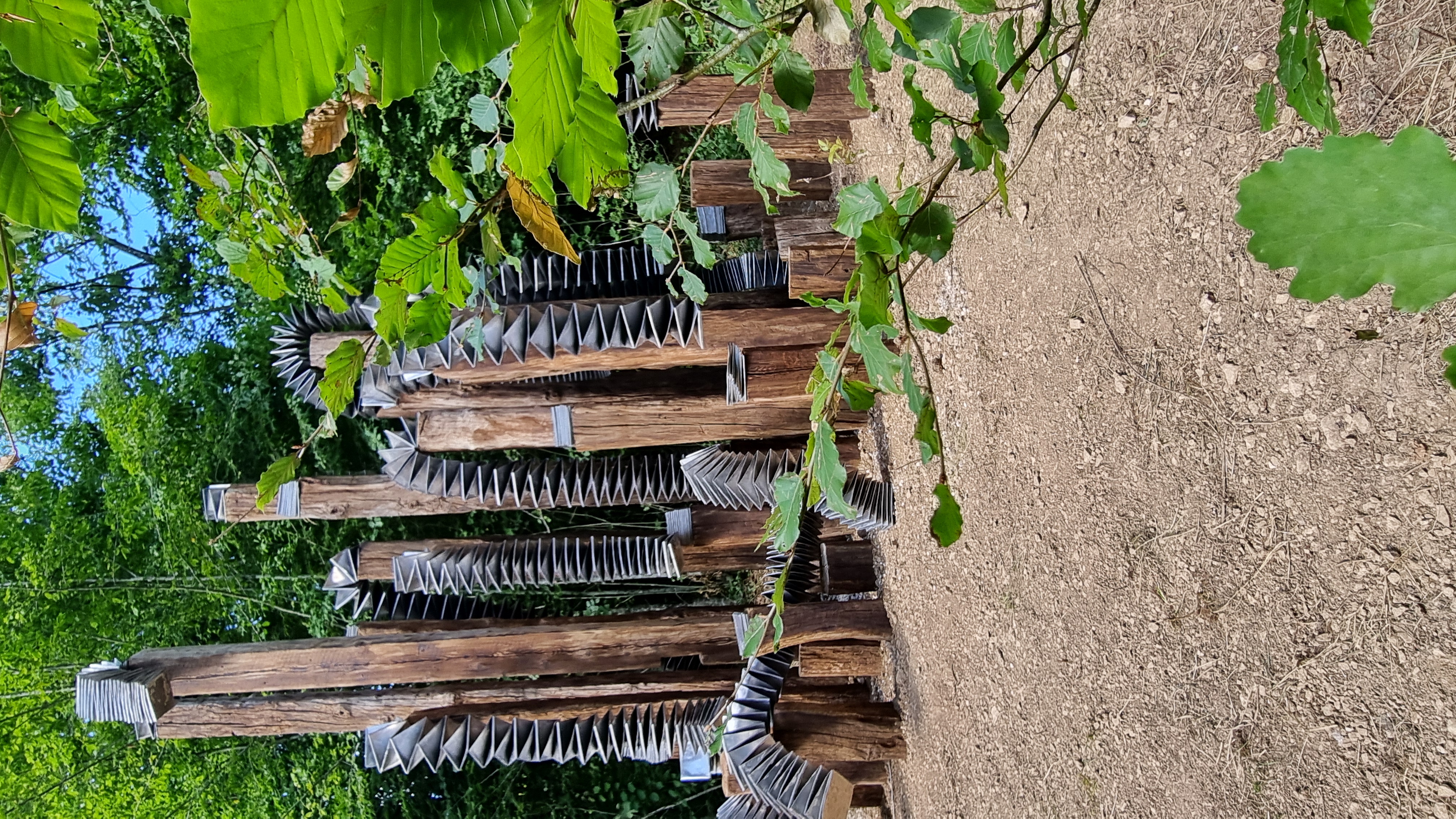 20250712_163515.jpg (3.54 MB)